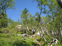 hjelmeland_forra_img_9335.jpg