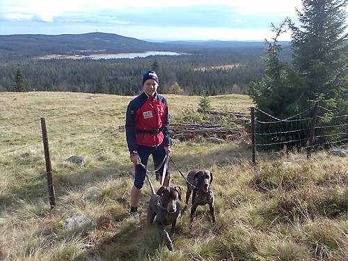 Setervollen ovenfor parkeringa. Nordhue ses bak.