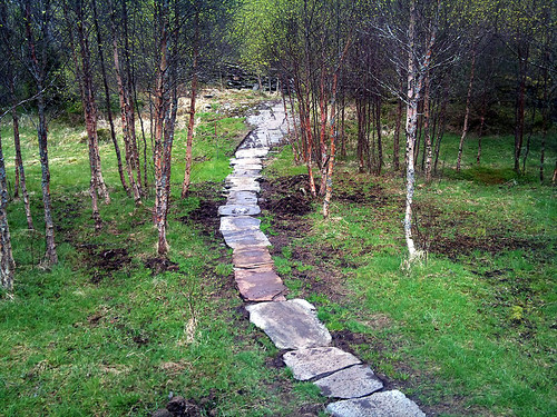 Stistandarden er satt allerede i første myr!