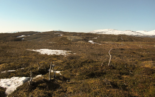 Varden på Furudalsheia sett fra sør.