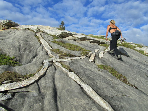 Steinsøya