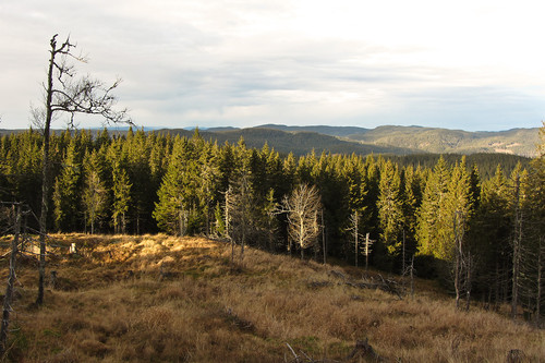 Utsikt nordvestover fra nordsida på Branntjernhøgda.