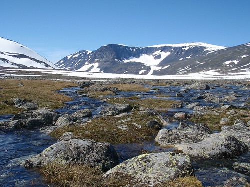 Vakre Trollsteinkvelven!