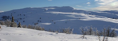 Ganske snart kom dagens mål til syne. Selve toppen skjuler seg noe til venstre bak i bildet her.