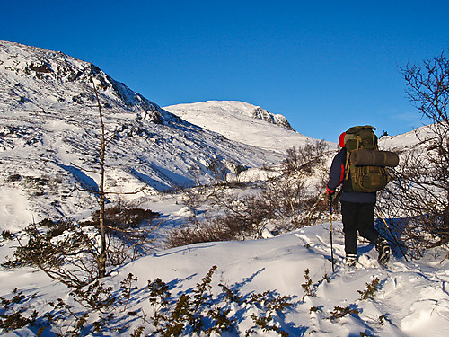 Øyvind på vei oppover mot Brattefjell fra Svain.