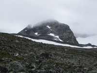 Grotbreahesten fra NØ.