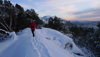 Toppen på Fløyfjellet 400 moh. Ulriken i bakgrunnen.