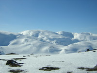 Østre del av Raundalseggen fra Vesetfjellet. Olsskavlen i midten