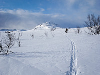 500fjell_p3130366.jpg