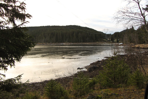 Is på Tverrsjøen.