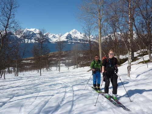 Håvard og Kristine i skogspartiet