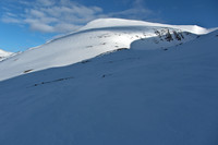 Stormauken sett fra nord.