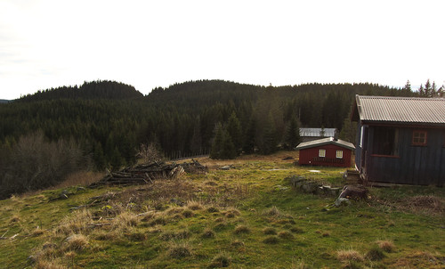 Roensætra med Vangshaugen og Grasdalskollen i bakgrunnen.