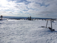 På Sjusjøfjellet