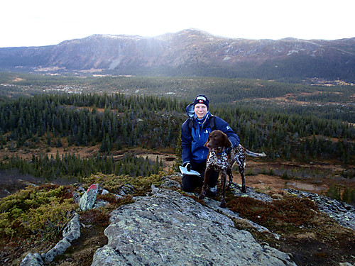 Ved Sigridlinuten. Skirvdealen og Haugefjell bak.