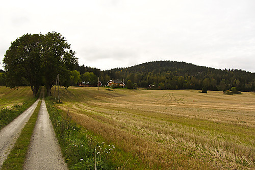 Mjærskau og Mjærskaukollen.