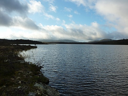 Fiske ved nedre Reinsjøen.