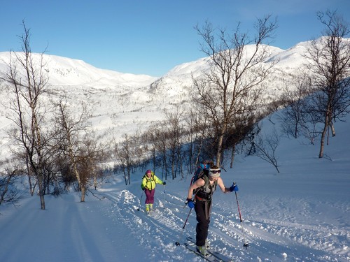 Oppover gjennom skogen mot Tverrelvaksla