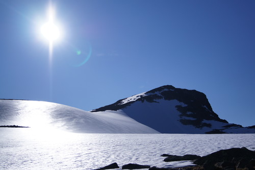 Tjønnholsoksle 2145 moh i ettermiddagssol.