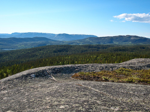 Nautskardfjellet, Bukollen og Urdevassfjell sett fra Hestebrenna.