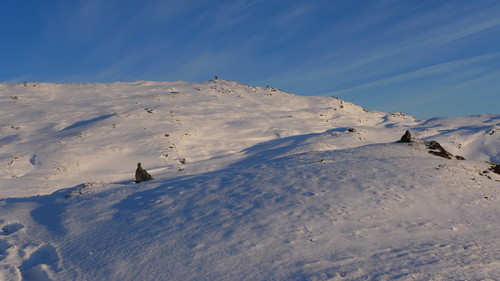 To forsteinete ryper vokter stien mot Stongfjellet ....