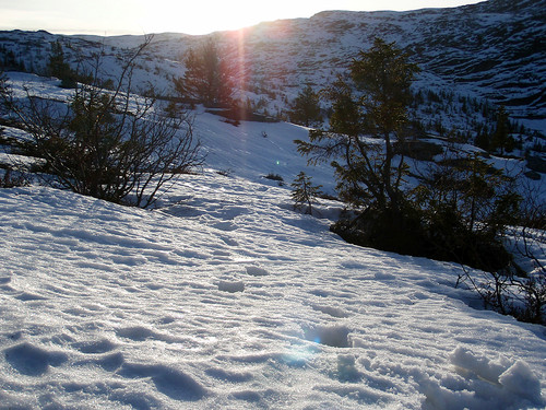 Turen til Mannslagarnuten (1074) ble fort mye lenger enn beregnet med disse snøforholdene!