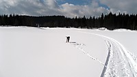 Frigg på Lauvtangen.