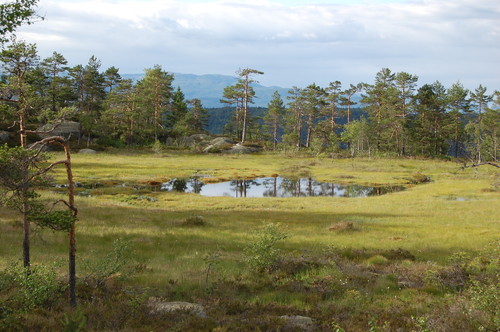 Fra Husefjell