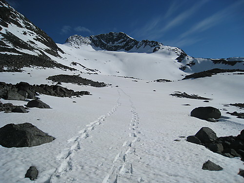 Utsikt oppover Visbreen mot Visbreatinden