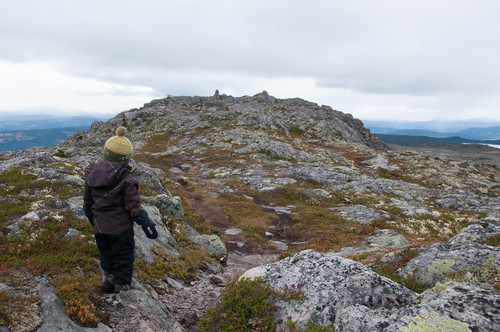 Liten gutt (2 år) på vei mot toppen