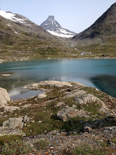 Tilbakeblikk fra dammen