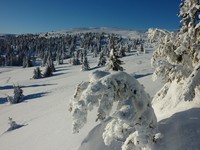 bergtatt_130201_nevelfjell.jpg