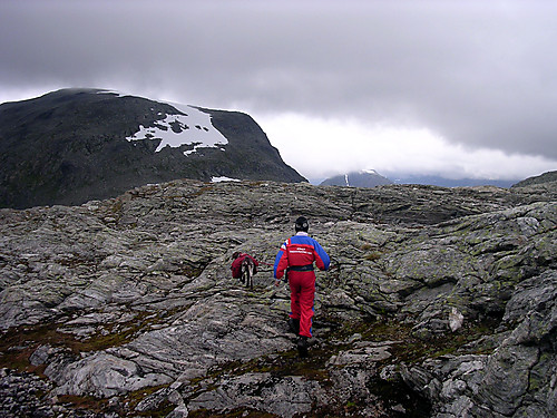 Jeg og Frigg rusler over mellom Grøsvoregga og Rasmusfjellet som ses bak.