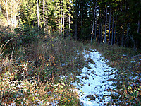 Ved Hornkjølberget lå det litt snø/rim på lur...