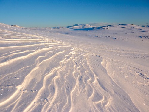 Wind-blown waves in the snow surface