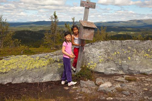 Meg og Martine ved postkassa på Dalavardin, men det var ikke noen bok til å skrive i oppi :(