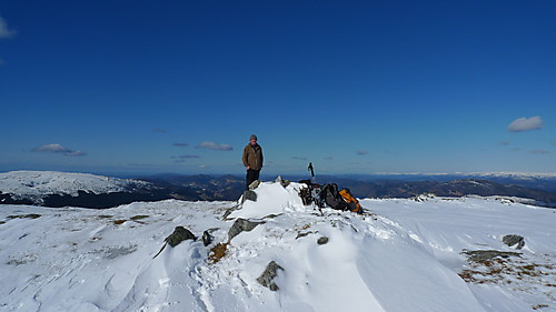 Toppen på Skåldalsfjellet. Foto mot nord. Ulriksmassivet i bakgrunnen til venstre.