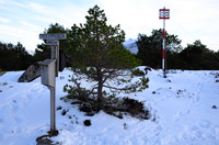 Solavågsfjellet 263