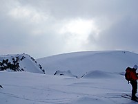 500fjell_lomhest36.jpg