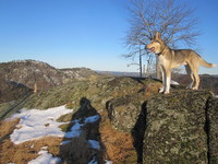 Toppen av Heståsen/Hanekne, Sniff poserer..