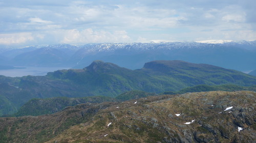 Folgefonni i bakgrunnen