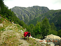 500fjell_2007-08-07-12-34-07.jpg