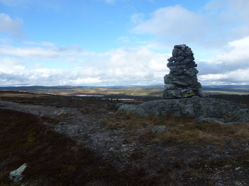 På Snauskallen