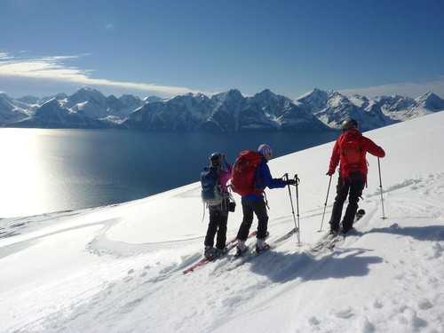 Taking a pause on the ski down