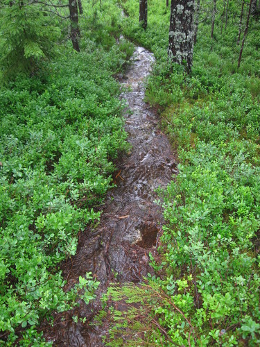 De flotte stiene vi gikk på oppover ble etterhvert forvandlet til elver. Slik så det ut når vi gikk nedover.