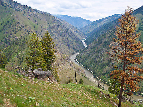 Salmon river sett fra oppunder Bullion mines.