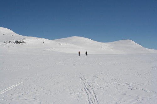 Ragnar og Morten i Skarvedalen med Gråhøe i bakgrunnen.