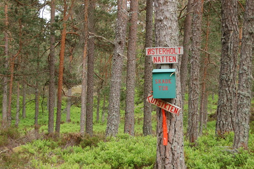 Fra toppunktet på Østerholtknatten