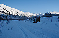 Langs veien inn mot Fisktjønna en klar og kjølig lørdagsmorgen.