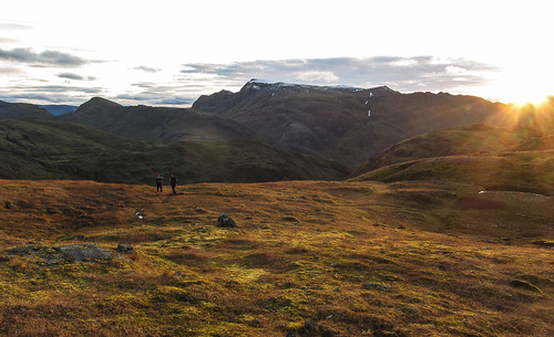 Trivelig marsj tilbake langs gresslettene.